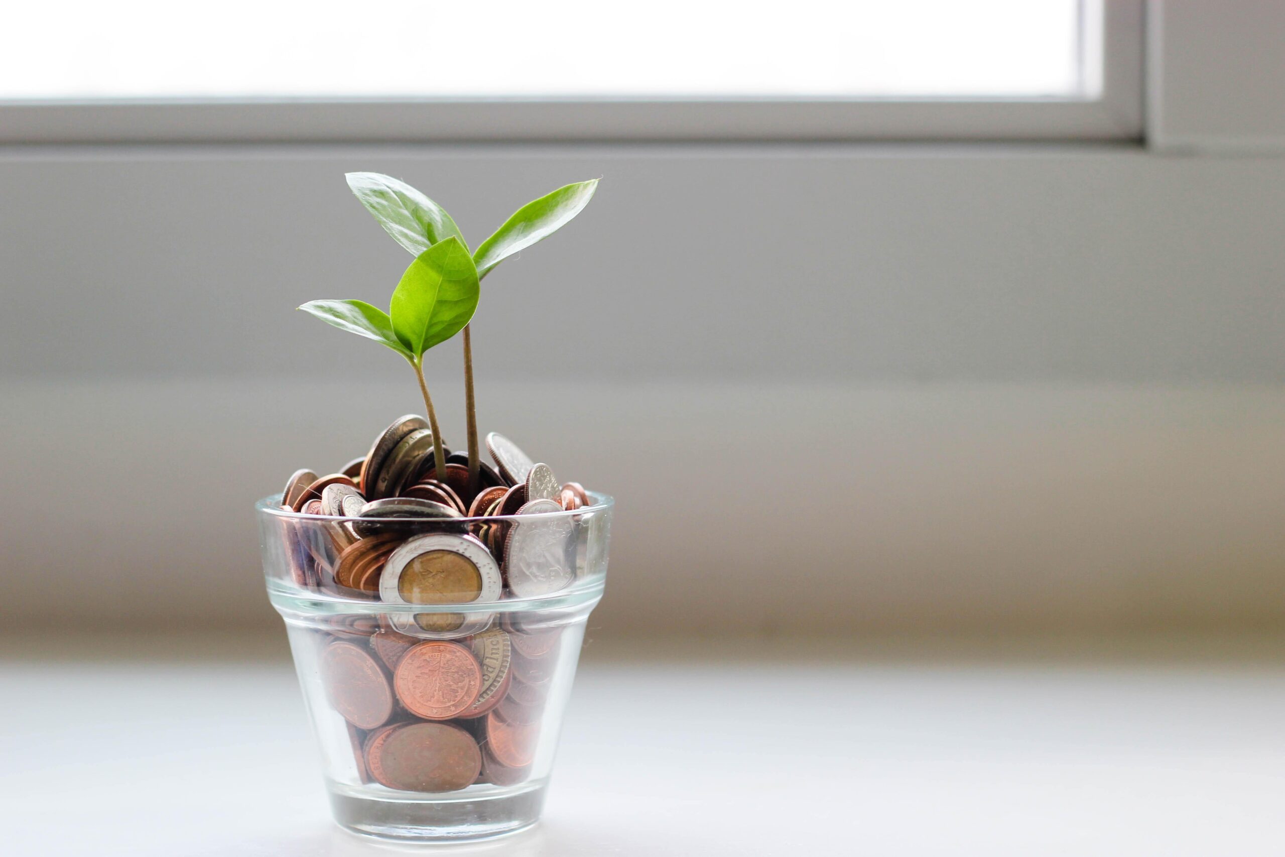 a plant growing out of a glass filled with coins