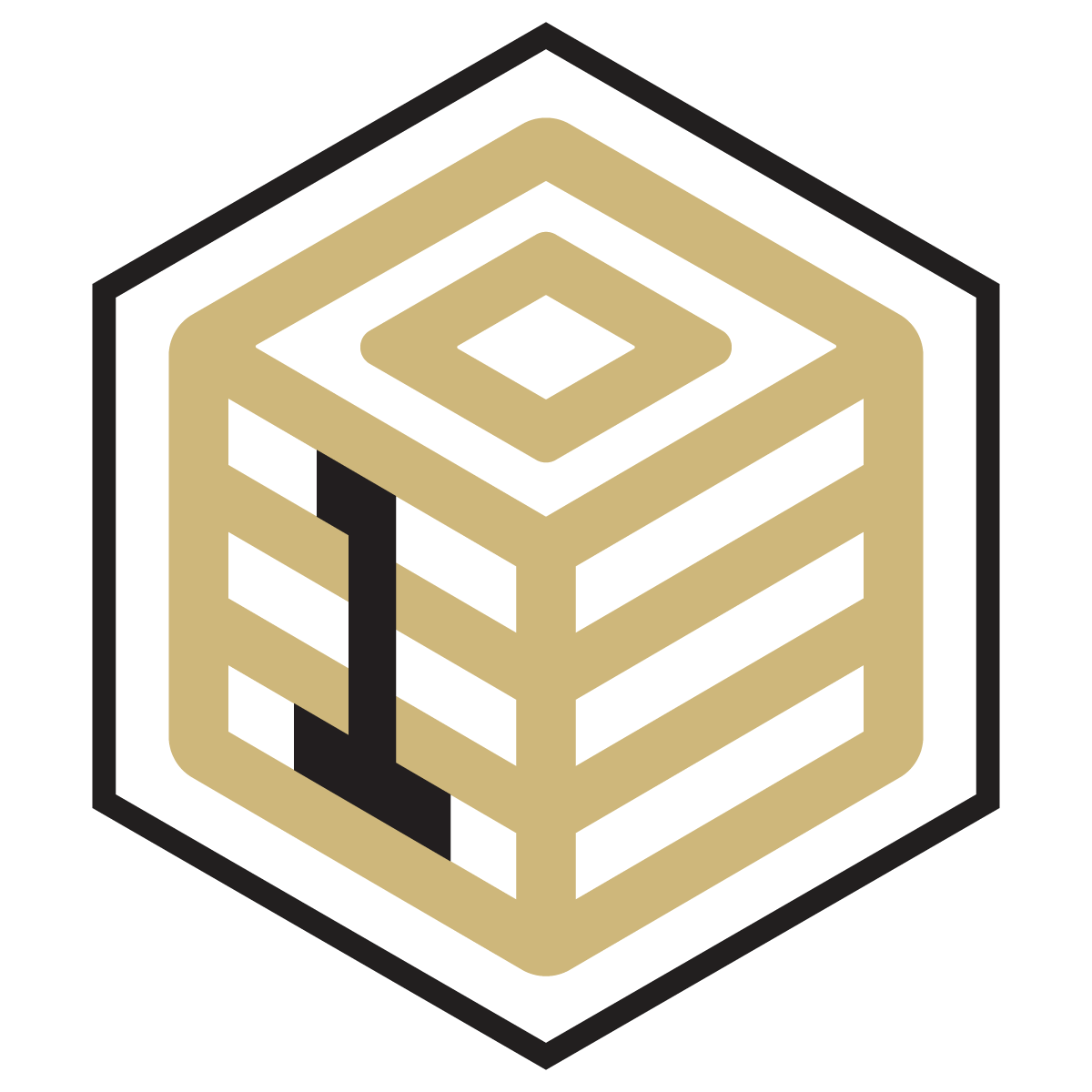 a graphic of a cube with the number 1
