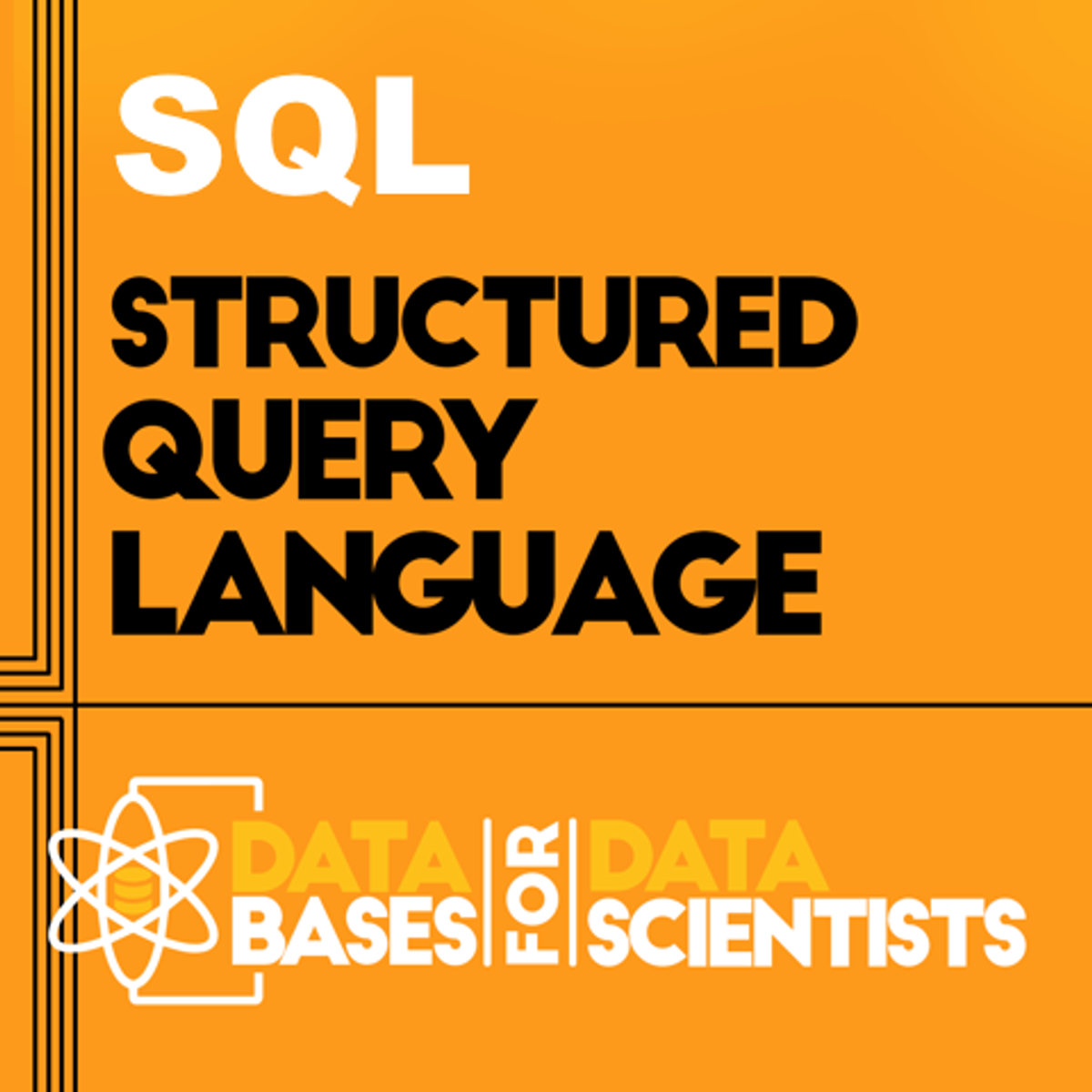 Image reads SQL Structured Query Language Databases for Data Scientists