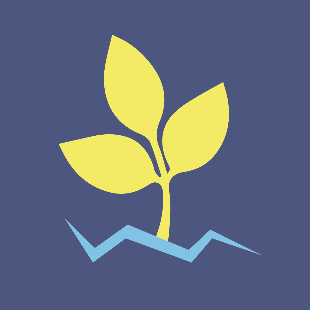 An image of a flower growing out of a rocky surface